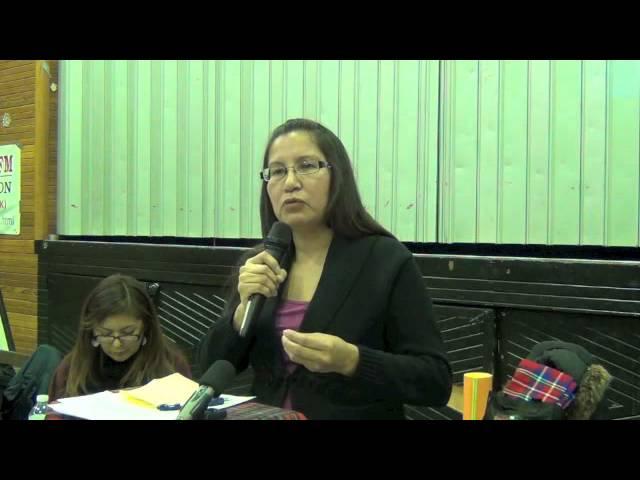 Idle No More Alberta - Sylvia McAdam