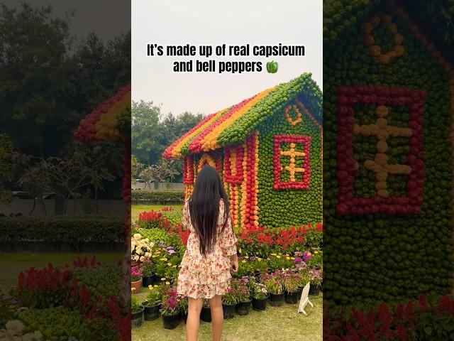Noida Flower Show 2025 | Neha and Nitu