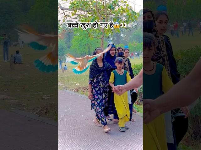 Pistol Bole Gi || Masoom Sharma Sheenam Katholic ||Vaishali || haryanvi Song #pigeon #shorts ️