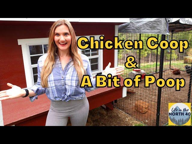 Chicken Coop and a Bit of Poop! Best Chicken Coop and Pen!