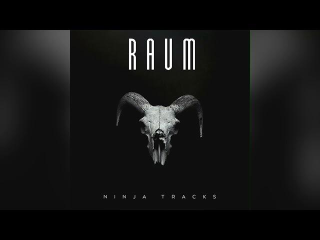 Ninja Tracks - Mass At Midnight (By Sigurd Jøhnk-Jensen)