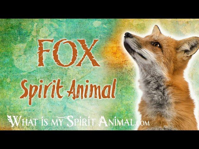 Fox Spirit Animal | Fox Totem & Power Animal | Fox Symbolism & Meanings