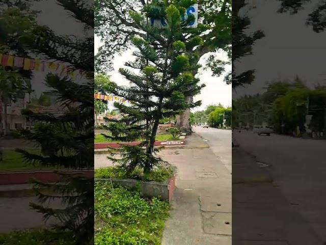 Suroy Ta diri#sanjose#shortsvideo       #travelblog /Josephine Florence Vlog