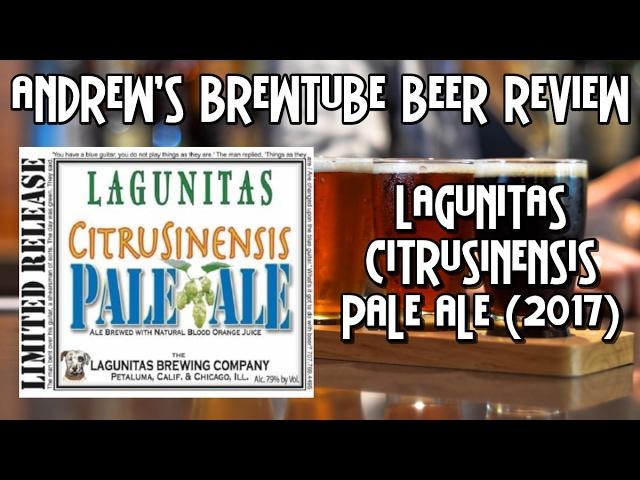 Lagunitas Citrusinensis Pale Ale (2017) - Andrew's BrewTube Beer Review #33