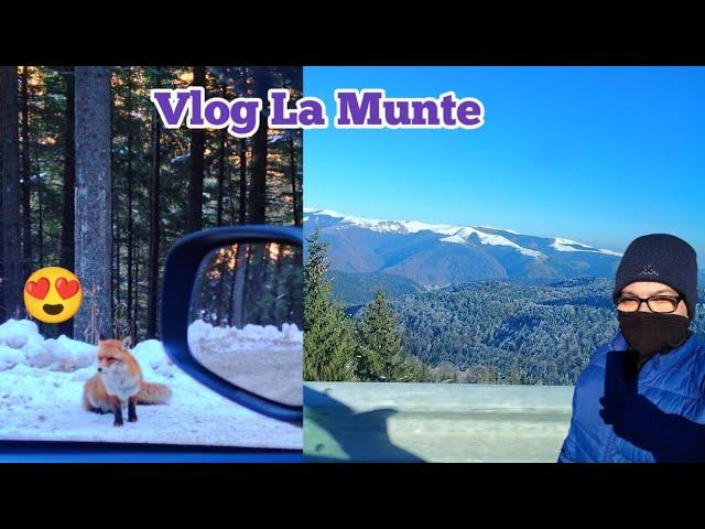 Vlog La Munte!