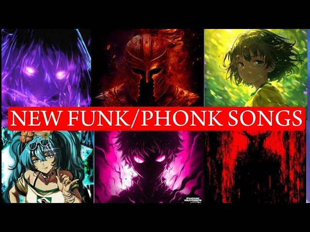 Viral Phonk/Funk Songs 2025 || Song You probably Don`t Know The Name