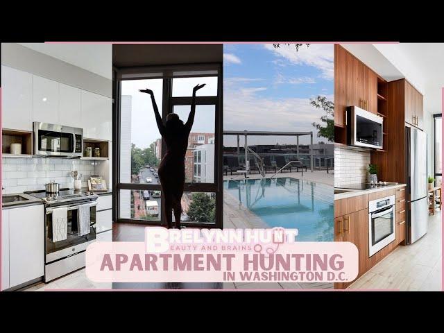 Apartment Hunting in Washington, D.C.  | Finding the Perfect Apartment!  | beauty and brains