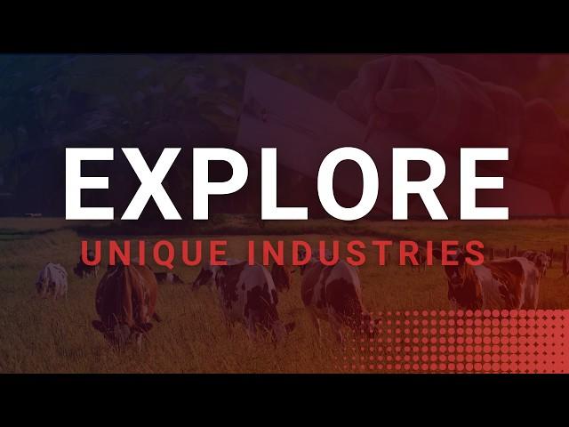 2024 Wrapped: Industry Uncovered