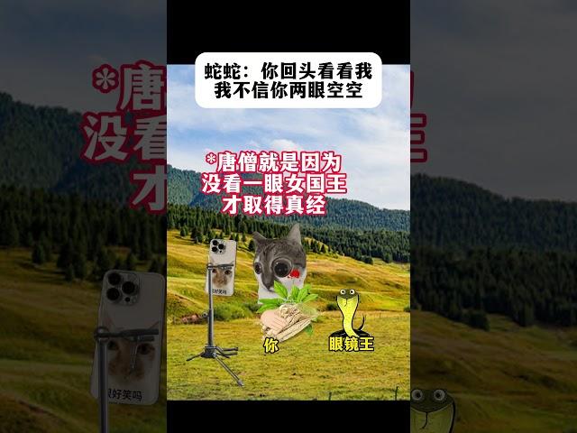 #猫meme小剧场 #猫meme #猫meme搞笑剧情 #猫meme剧场