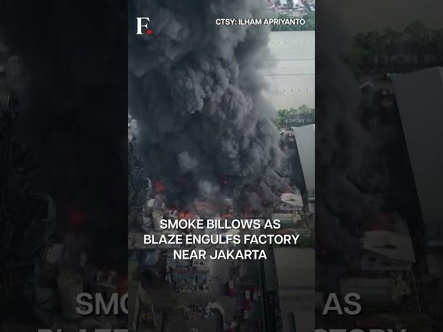 WATCH: Massive Fire Engulfs Cooking Oil Factory in Indonesia | Subscribe to Firstpost