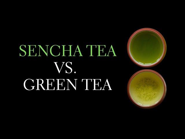 Sencha vs Green Tea - What's The Difference?