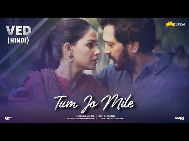 Tum Jo Mile - Hindi | VED | Riteish Deshmukh | Genelia Deshmukh