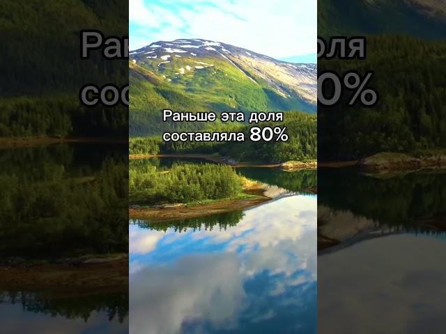 Россияне продолжают держать деньги в грузинских банках