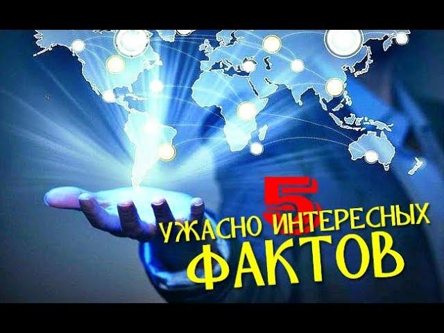 5 УЖАСНО ИНТЕРЕСНЫХ ФАКТОВ