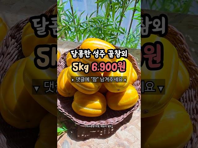 참외 비싸게 사지마세요!! 5kg 6,900원에 드릴게요!!
