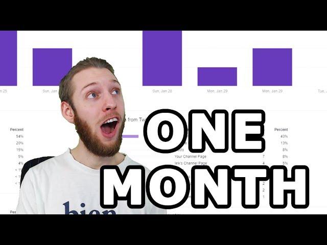 First month Youtube and Twitch statistics