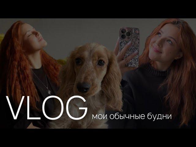 VLOG | обычный день из жизни блогера | учеба в универе | работа | лайфстайл |