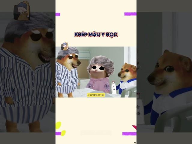 Phép màu y học | Cheems Nhân Văn