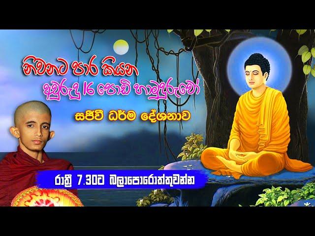 නිවනට පාර කියන අවුරුදු 16 පොඩි හාමුදුරුවෝ ||  Siwhela TV Live Stream