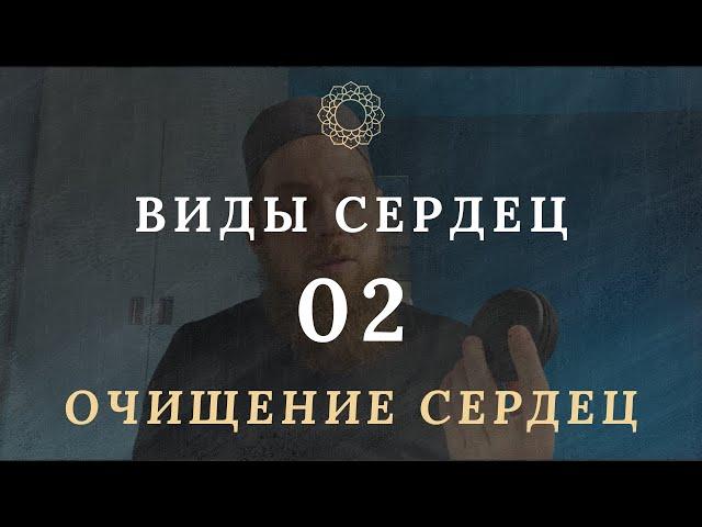 Виды сердец. И почему человек перестает отличать истину от заблуждения. Очищение сердец #2