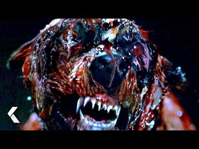 Resident Evil Movies - Best Scenes | Milla Jovovich