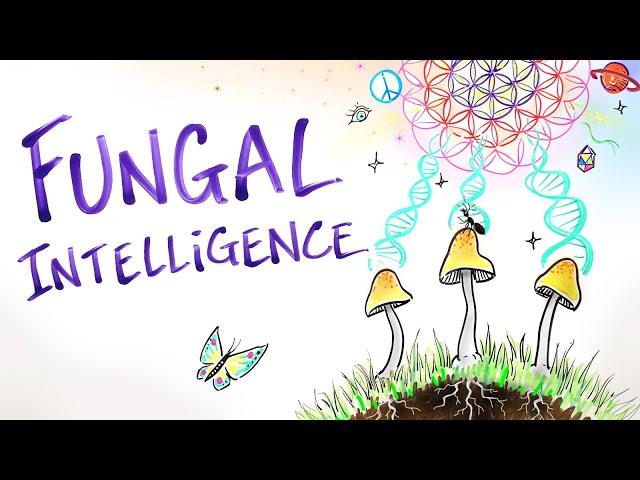 Fungal Intelligence - Conscious Mushrooms, Zombie Ants & The Hidden Wisdom of Nature