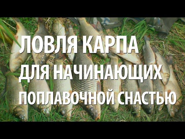 РЫБАЛКА на КАРПА для НАЧИНАЮЩИХ. КАК ЛОВИТЬ КАРПА на ПОПЛАВОЧНУЮ УДОЧКУ