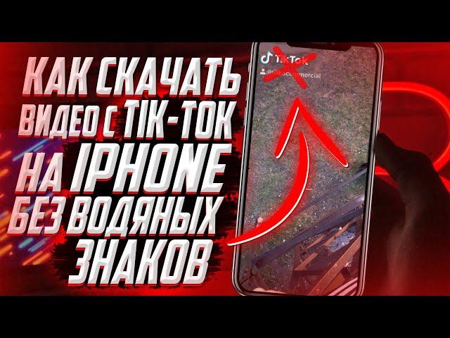 Как скачать видео с TIK TOK на iPhone без водяного знака? БЕЗ ПРОГРАММ