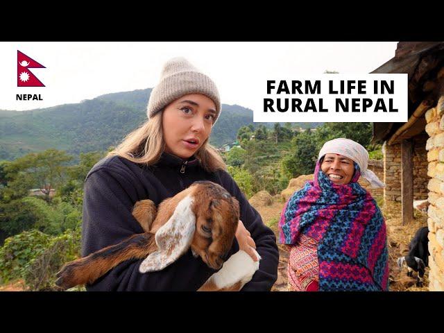 72 hours Farmers Life in Rural Nepal 