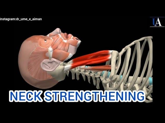 Neck Strengthening |Sternocleidomastoid Muscle |@DrUmeAiman