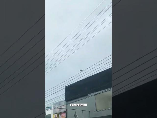 C-17 decolando de Manaus!  #shorts #short #aviation #avgeek #viral #manaus #brasil  #vídeo