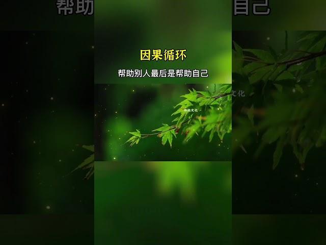 因果循环