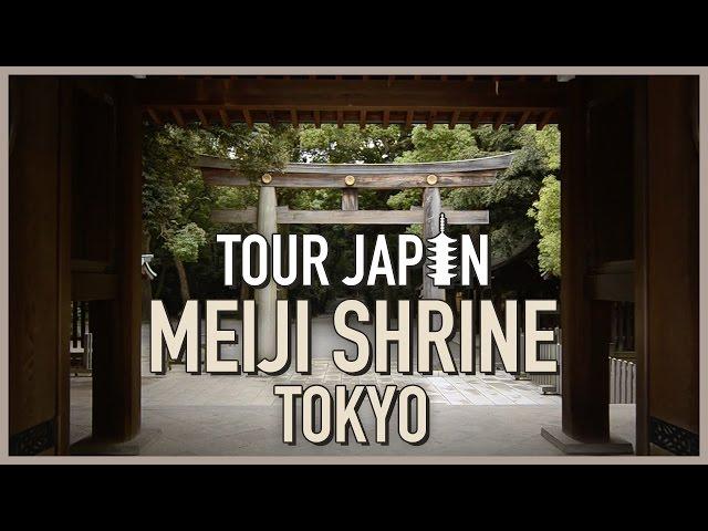 Amazing forest in the middle of Tokyo: Meiji Shrine (guide)