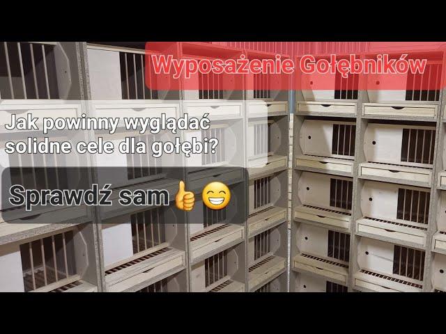 Wyposażenie Gołębników Solidne cele dla gołębi‼️ SPRAWDŹ SAM     #pigeons #loft #gołębiepocztowe