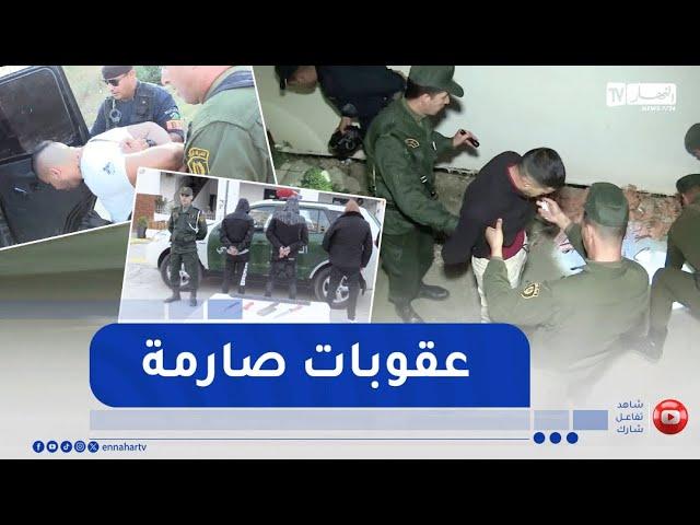 عصابات الأحياء.. اعتداءات في وضح النهار مع سبق الإصرار والترصد
