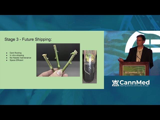 Cannabis Tissue Culture and Germplasm Storage - Mark Jordan