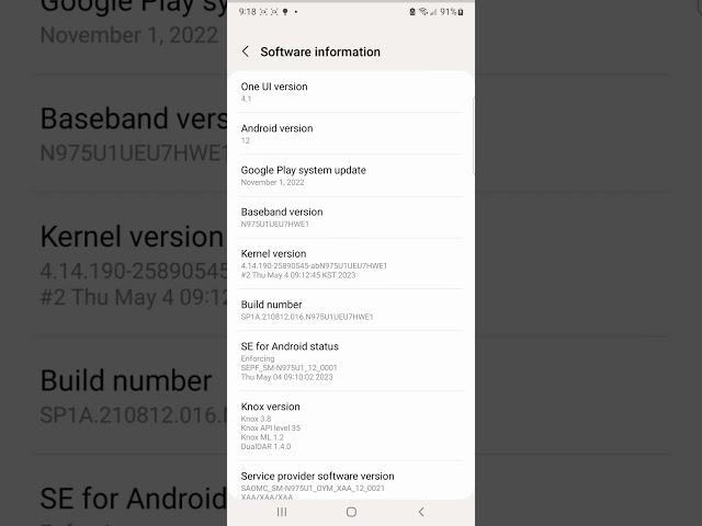 how to turn on developer options onsamsung galaxy note 10