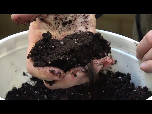 UMN Extension Basics of Starting Seeds