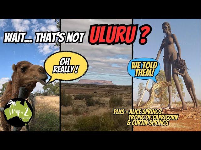 This Campsite had us ‘KNEE DEEP in  | Australia’s Friendliest CAMEL? | The road to Uluṟu - Ep61