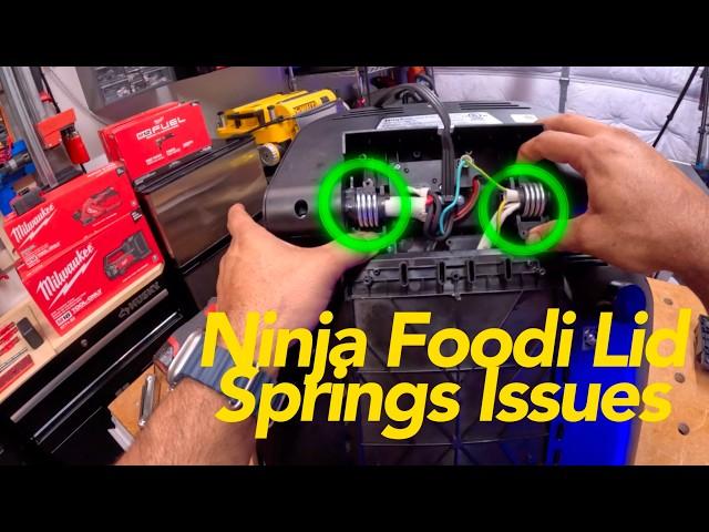 Ninja Lid Springs [Right Position]