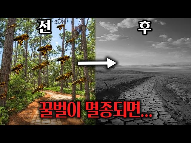 [통합과학] 생물 다양성의 중요성과 보전 방안 (유전적 다양성, 종 다양성, 생태계 다양성, 서식지 파괴)