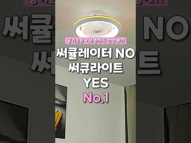써큘레이터 아니고 써큐라이트라고요. 여름 준비는 이걸로 끝 #인테리어 #꿀템 #써큐라이트