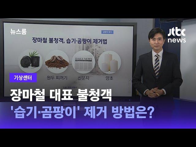 [기상센터] 장마철 대표 불청객 '습기·곰팡이' 제거 방법은? / JTBC 뉴스룸