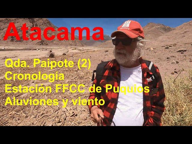 Quebrada Paipote 2: Puquios Station and Geology at Quebrada Paipote, Atacama - Chile