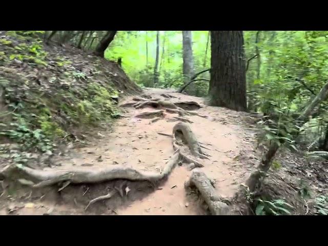 A visual tour of Minnehaha waterfall Trail by North Georgia Living magazine.