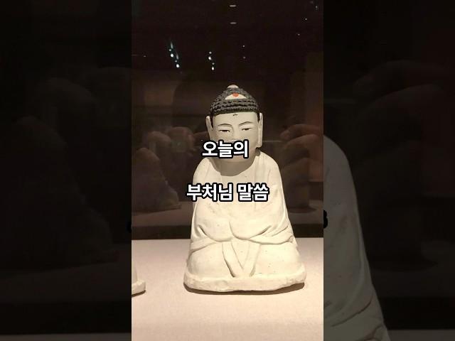 6월 19일 오늘의 부처님 말씀. #불교 #명언 #힐링 #명상