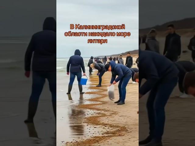 В Калининградской области море раскидало янтарь  #калининград