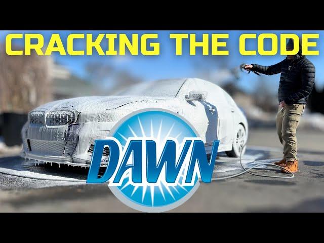 Is DAWN Dish Soap the HOLY GRAIL of Detailing products ??