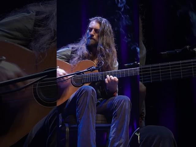 Estas Tonne - Internal Flight excerpt (Live in San Diego, USA, 2018)