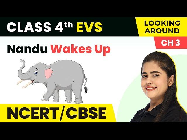 Nandu Wakes Up - A Day With Nandu | Class 4 EVS